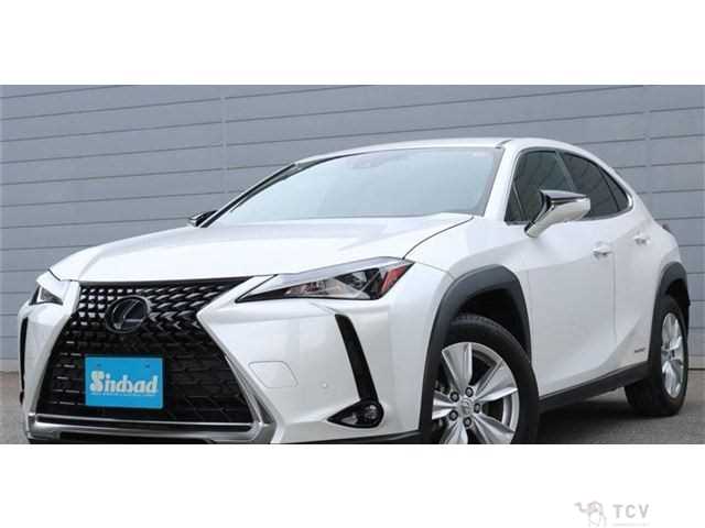 2020 Lexus Other