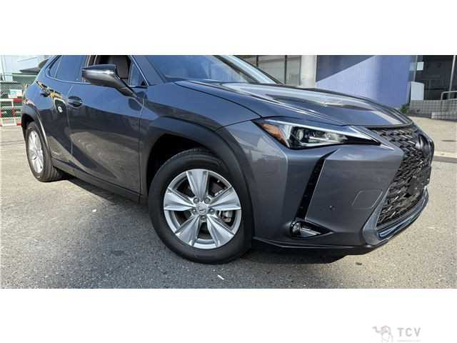 2020 Lexus Other