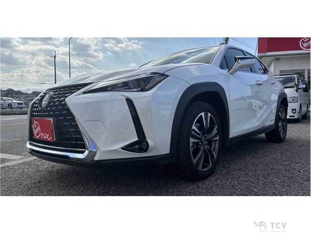 2020 Lexus Other