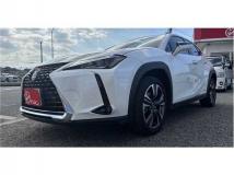 2020 Lexus Other