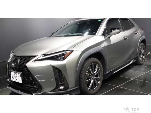 2020 Lexus Other