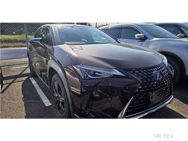 2020 Lexus Other