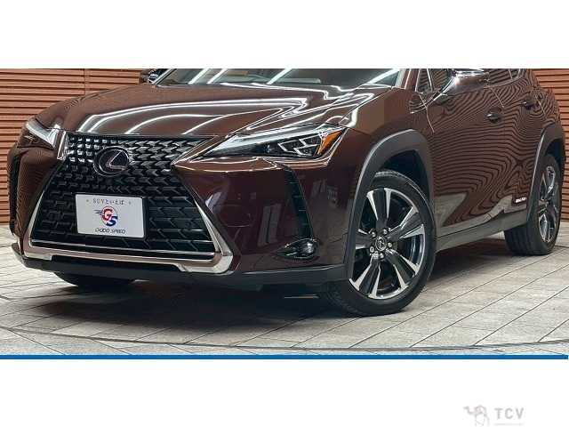 2020 Lexus Other