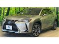 2020 Lexus Other