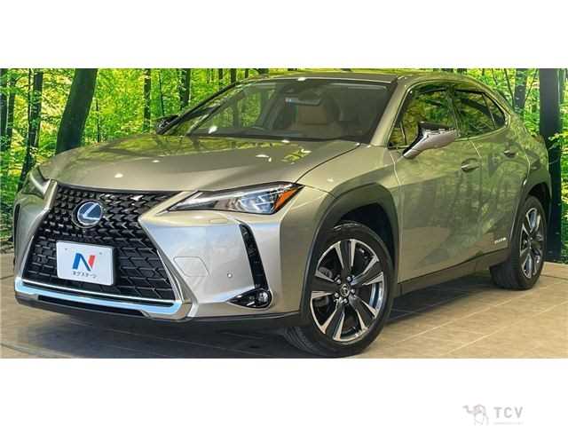 2020 Lexus Other