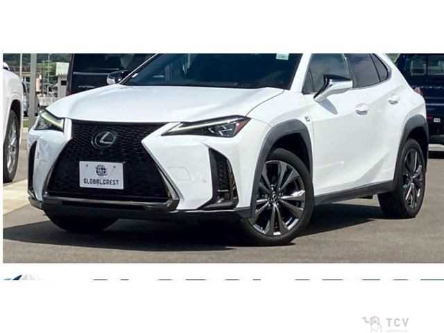 2020 Lexus Other