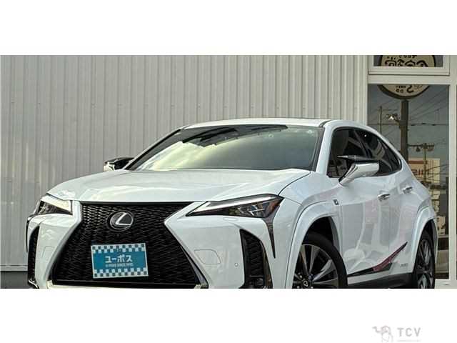 2020 Lexus Other