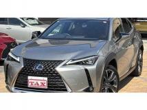 2020 Lexus Other
