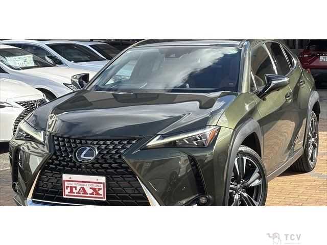 2020 Lexus Other