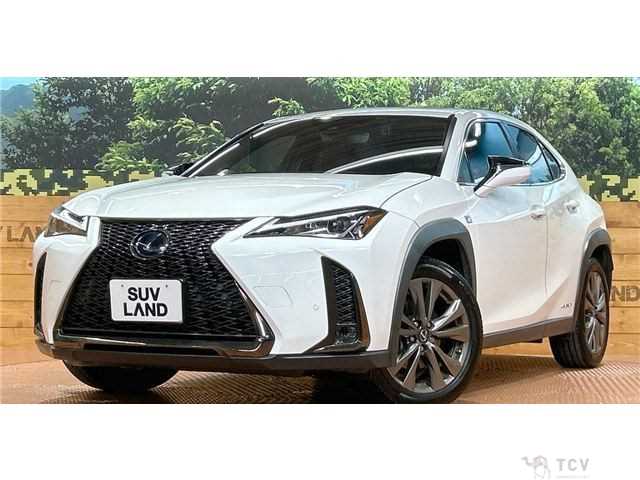 2020 Lexus Other