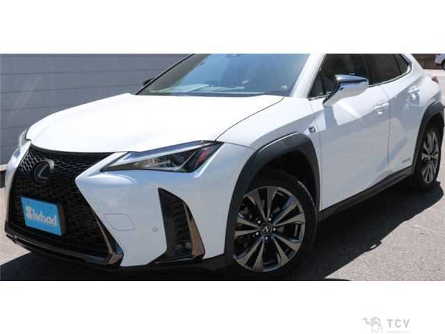 2020 Lexus Other