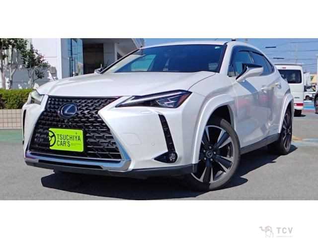 2020 Lexus Other