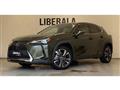 2020 Lexus Other