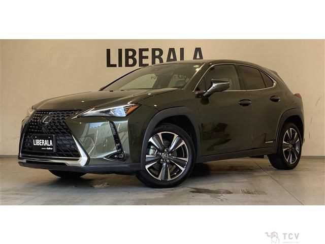 2020 Lexus Other