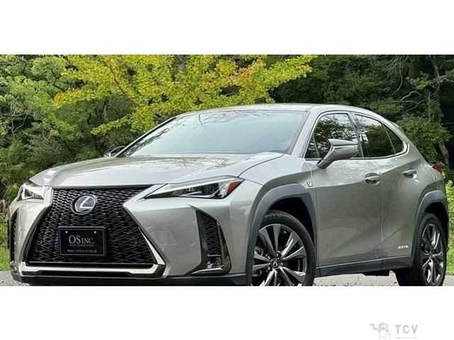 2020 Lexus Other