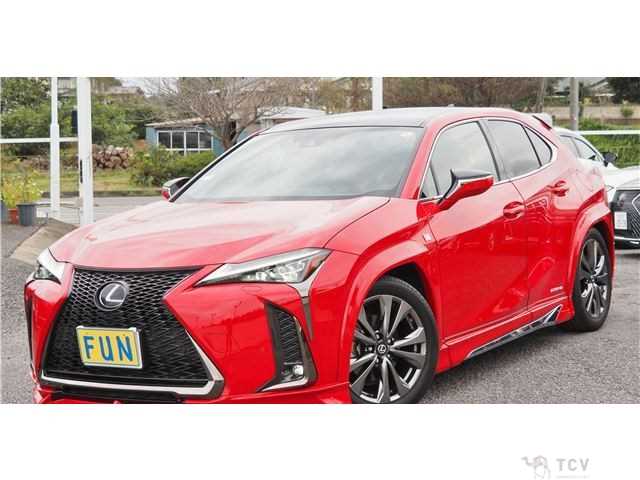 2020 Lexus Other