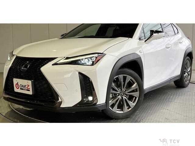 2020 Lexus Other