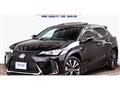 2020 Lexus Other