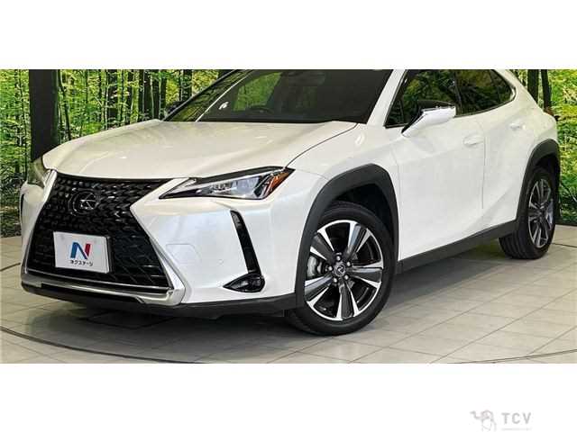 2019 Lexus Other