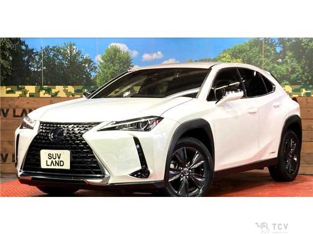 2019 Lexus Other
