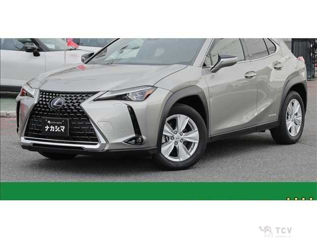 2019 Lexus Other