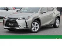 2019 Lexus Other