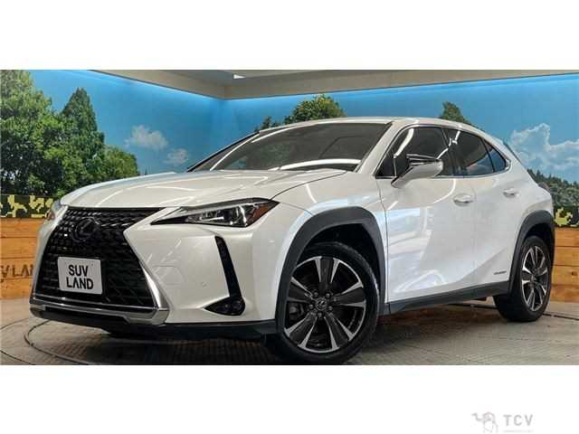 2019 Lexus Other