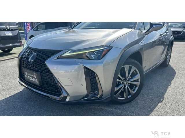 2019 Lexus Other