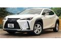 2019 Lexus Other