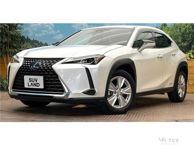 2019 Lexus Other