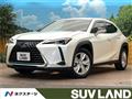 2019 Lexus Other