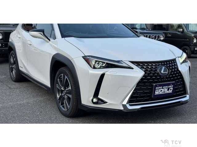 2019 Lexus Other