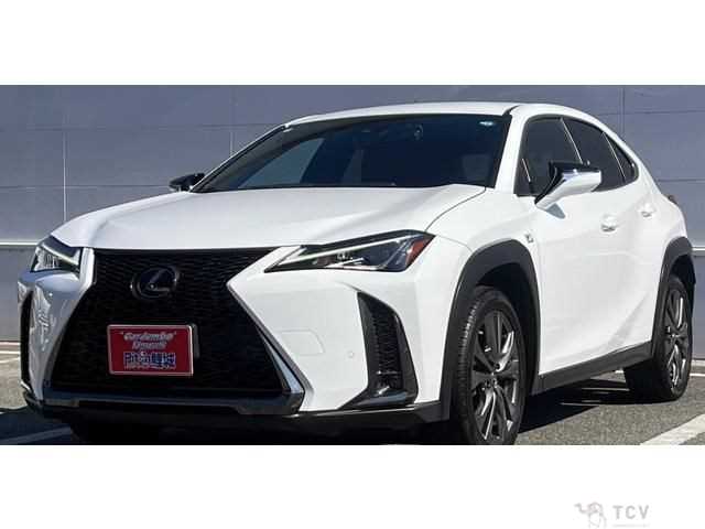 2019 Lexus Other