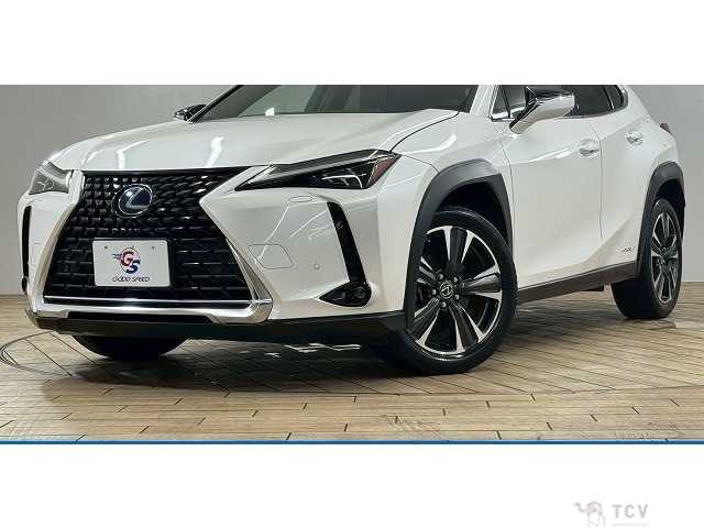 2019 Lexus Other