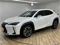 2019 Lexus Other