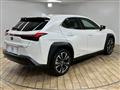 2019 Lexus Other