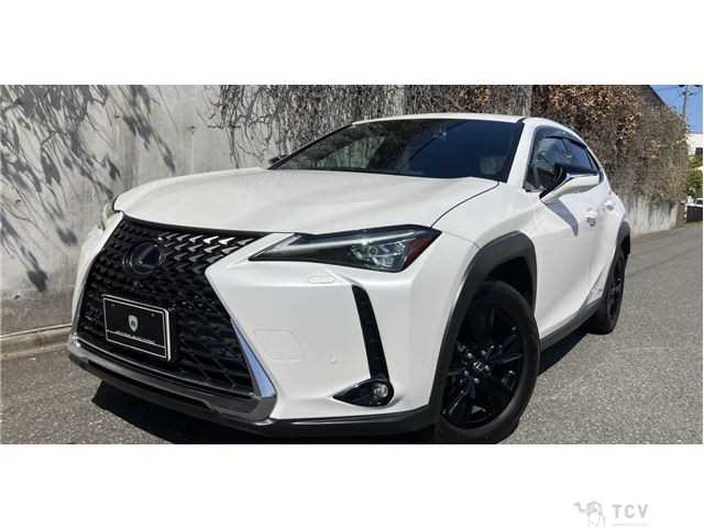2019 Lexus Other