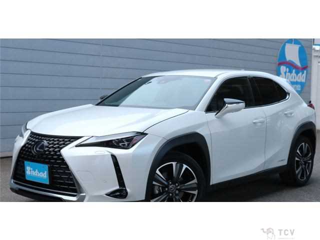 2019 Lexus Other
