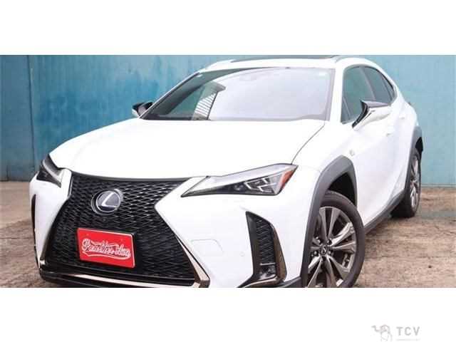 2019 Lexus Other