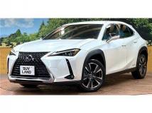 2019 Lexus Other