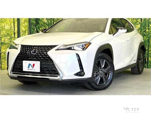 2019 Lexus Other