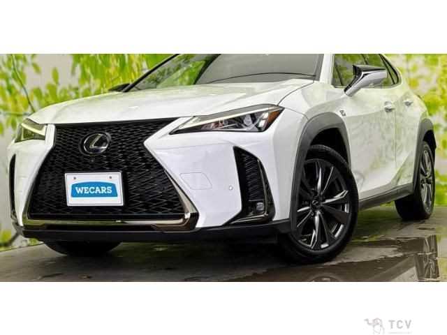 2019 Lexus Other