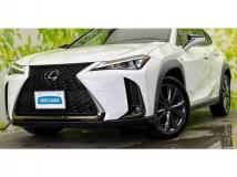 2019 Lexus Other