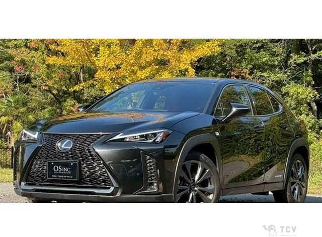 2019 Lexus Other