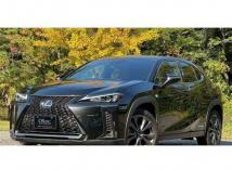 2019 Lexus Other