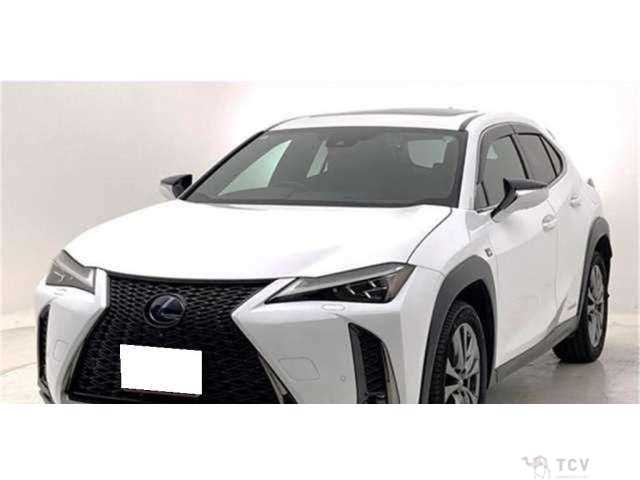 2019 Lexus Other