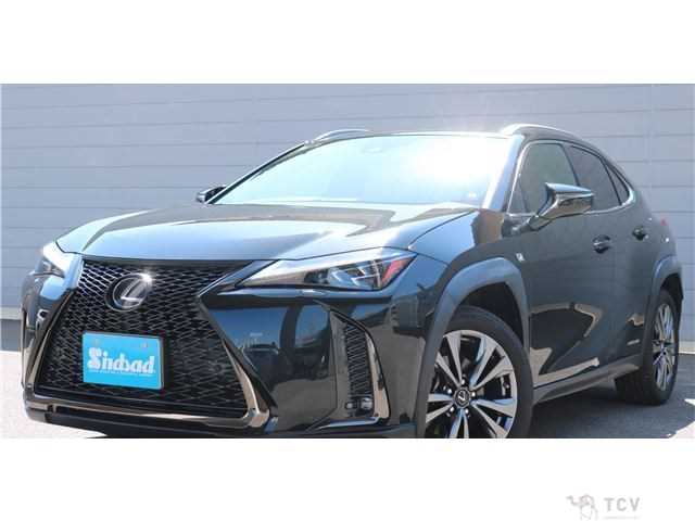 2019 Lexus Other