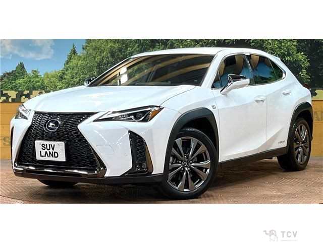 2019 Lexus Other