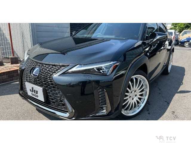 2019 Lexus Other