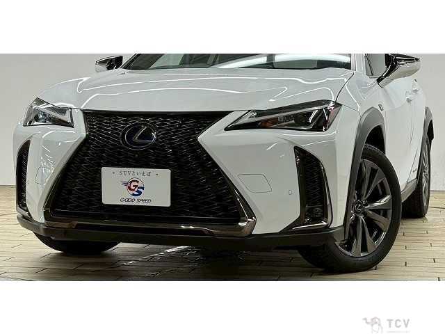 2019 Lexus Other